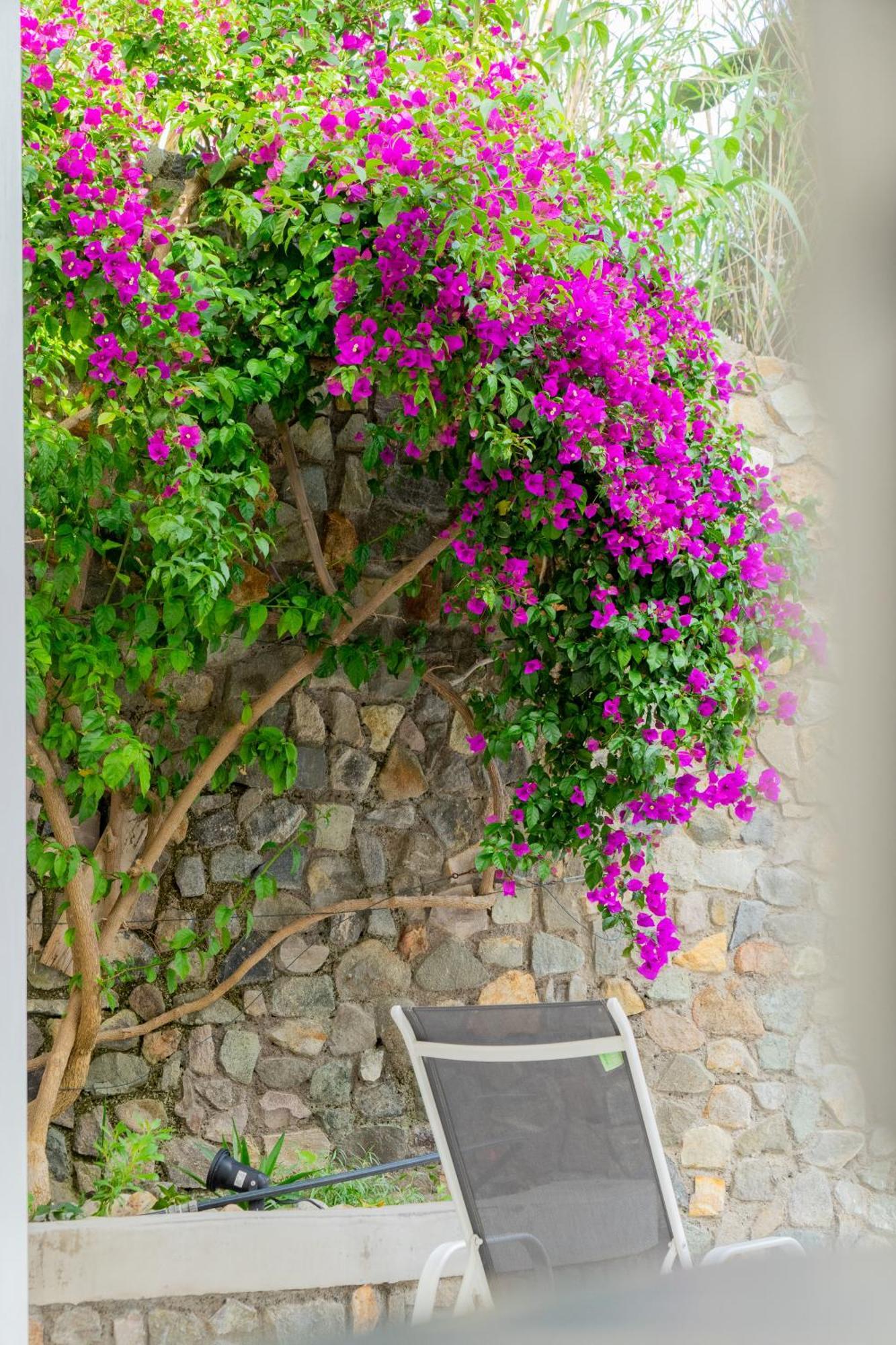 Villa Acacia Ponza Exterior foto
